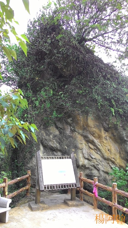 [1106-079---5.jpg]