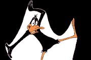 Daffy Duck