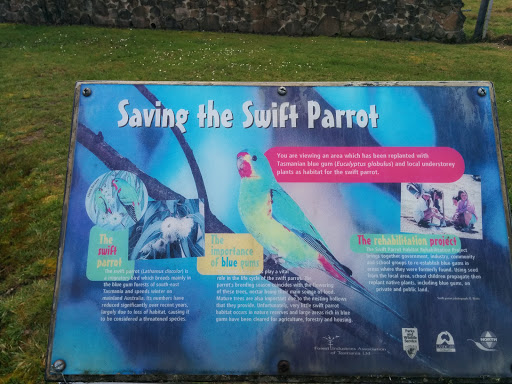 Saving The Swift Parrot