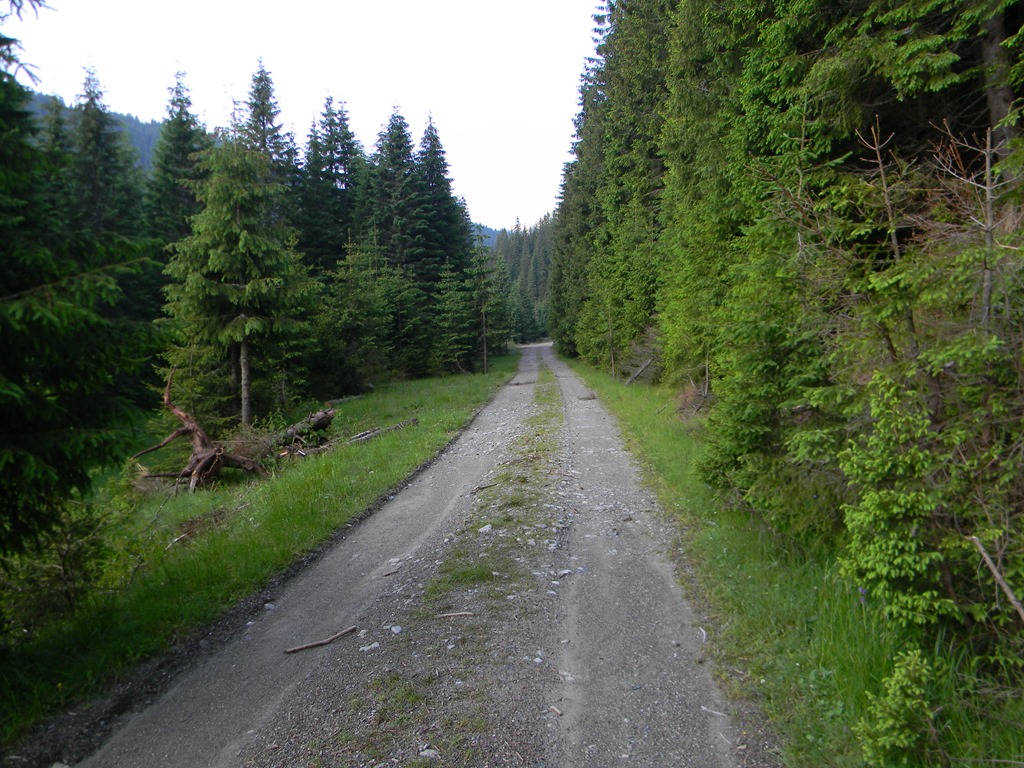 [DSCN21523.jpg]