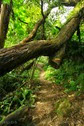 IMG_4446 IMG_4446