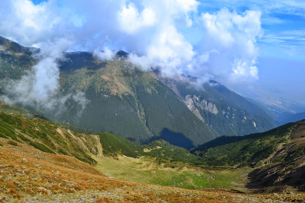 [DSC_97423.jpg]