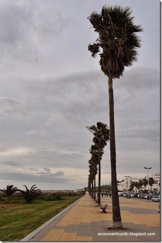 Conil. Paseo del Atlántico - DSC_0231