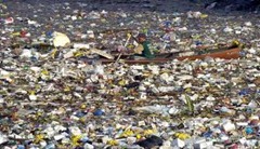 pacific Garbage Patch