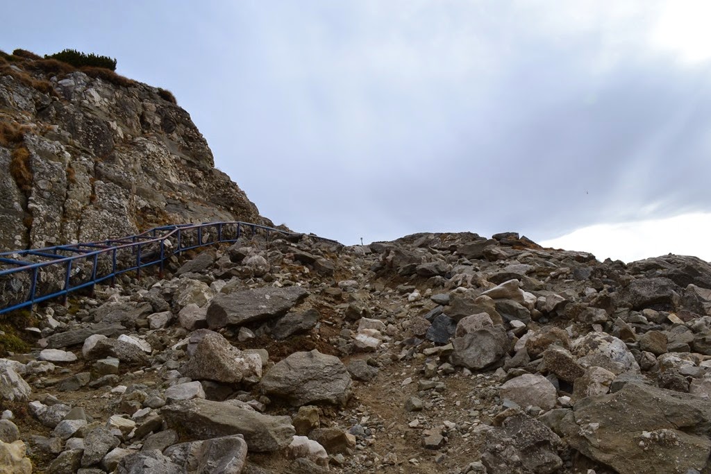 [DSC_71093.jpg]