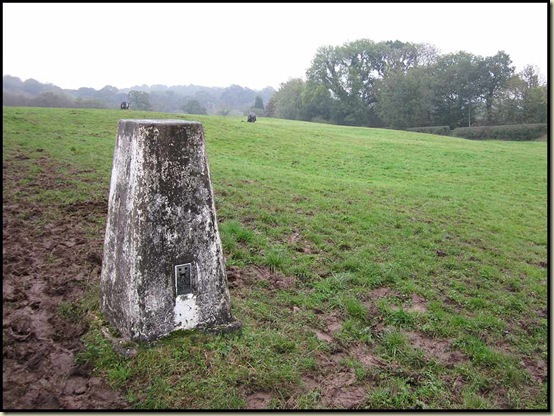 Norman's trig point (60 metres) - a famous landmark of Meadowlands
