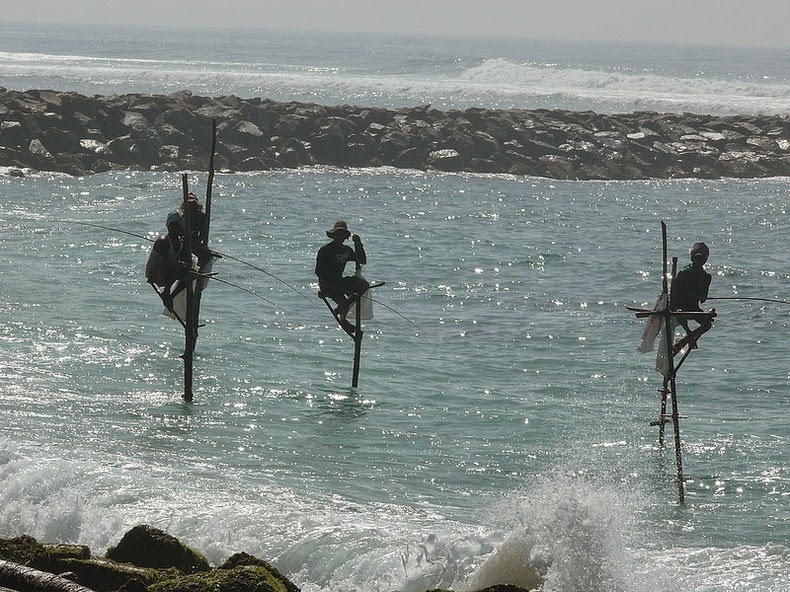 stilt-fishermen-sri-lanka-1