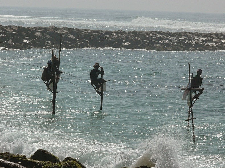 The Stilt Fishermen of Sri Lanka