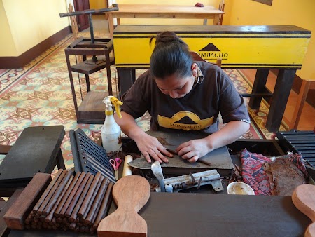 25. Lucratoare face un trabuc.JPG