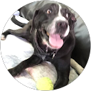 Thierry,LocalHabitat