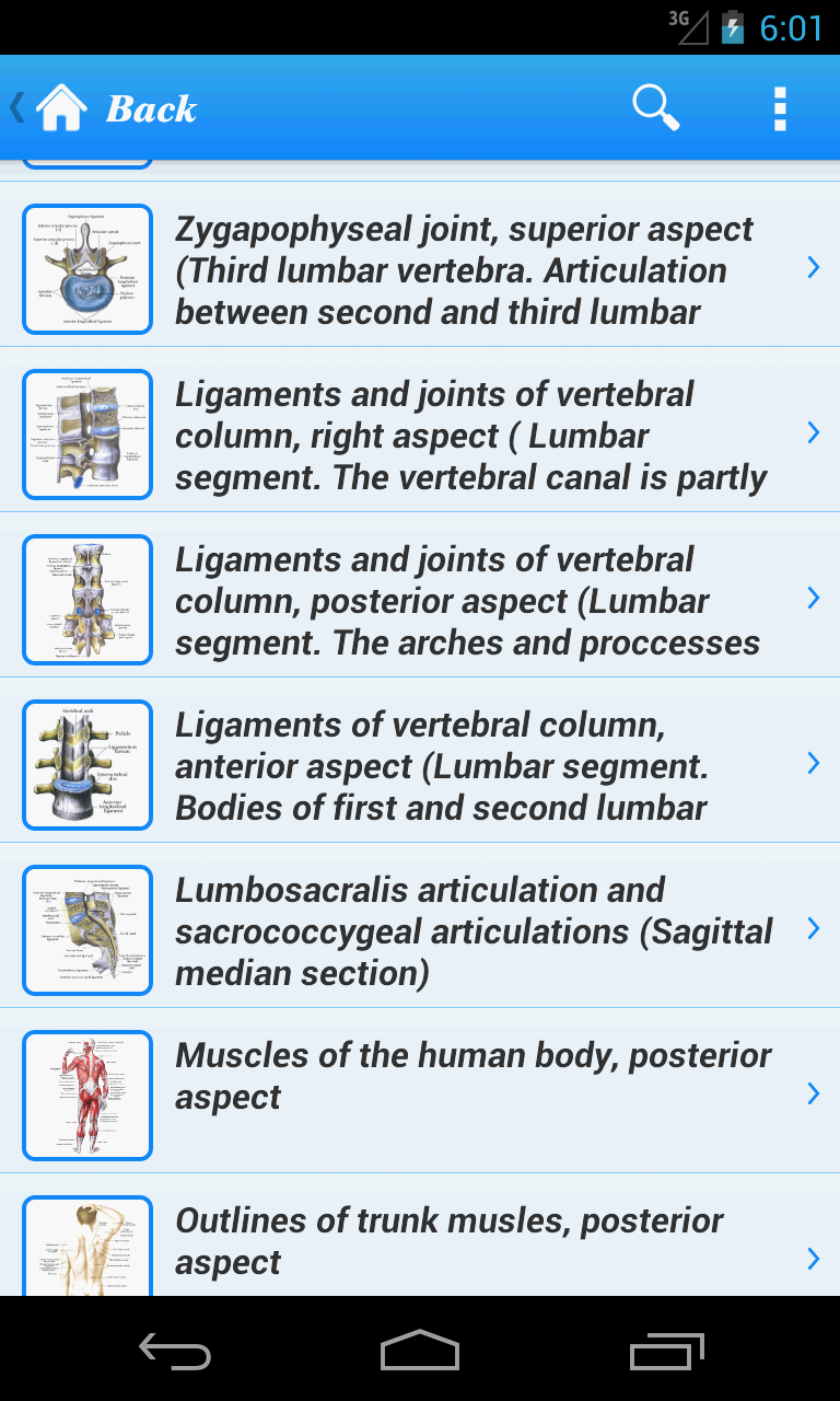Human Anatomy I Screen 2