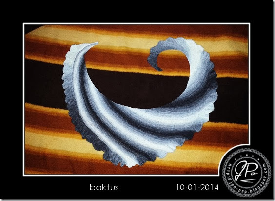 JPo-baktus-2014-01-10