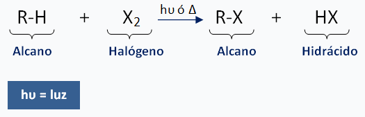 alogenacion alcano
