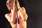 Iggy & The Stooges