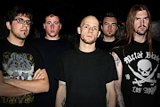 Allegaeon