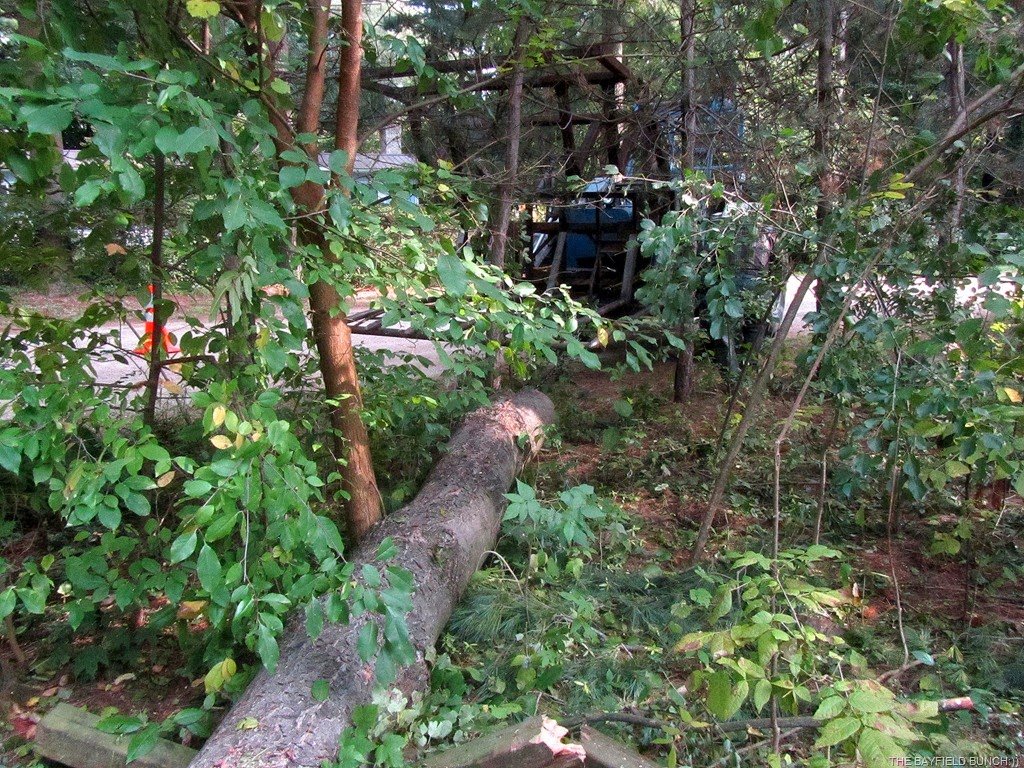 [IMG_0558%255B4%255D.jpg]