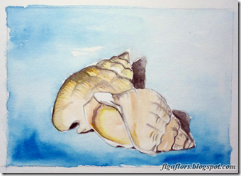 Figaflors_i_Braves_watercolor_shells