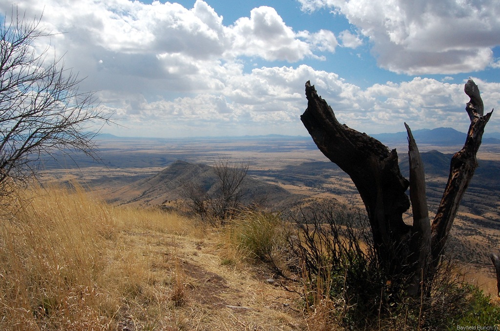 [DSC_1887%255B3%255D.jpg]