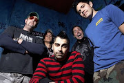 Zebrahead