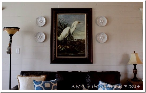 audubon print and oyster plates for the wall
