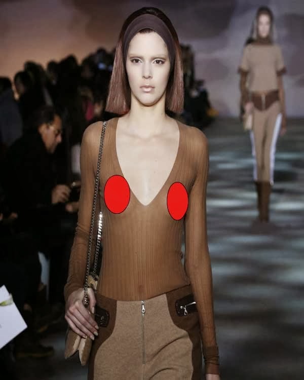 [Kendall-Jenner-Flashes-Nipple-At-New-York-Fashion-week--%25281%2529%255B6%255D.jpg]