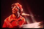Stevie Wonder