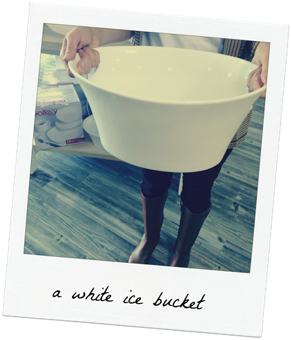 [icebucket2.png]