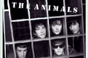 The Animals
