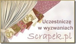 scrapek_uczest_w_wyz