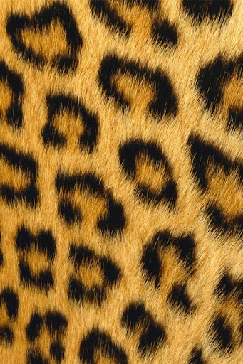 【免費個人化App】Animal Print Wallpapers HD-APP點子