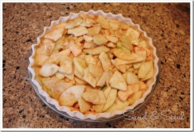Pie crust filled with apple slices (800x533)