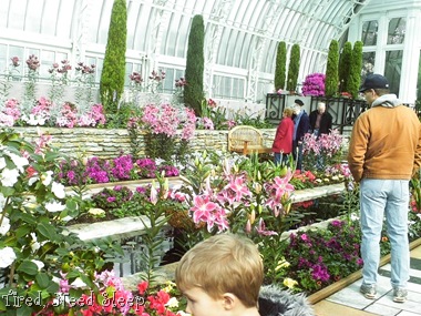 [IMAG0234%255B5%255D.jpg]