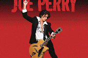 Joe Perry Project