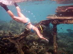 Snorkeling at a shipwreck in the Kuna Yala.