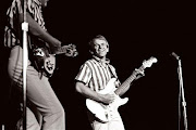 Al Jardine