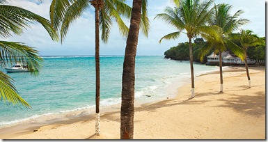 Barediver Travel And Scuba Agency Win A Free Destination Wedding At Tower Isle S Beach 1