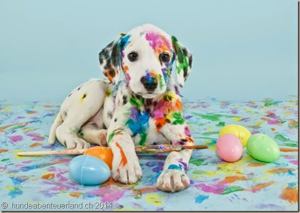 column_cute-picture-of-a-dalmatian-puppy-painting-easter-eggs