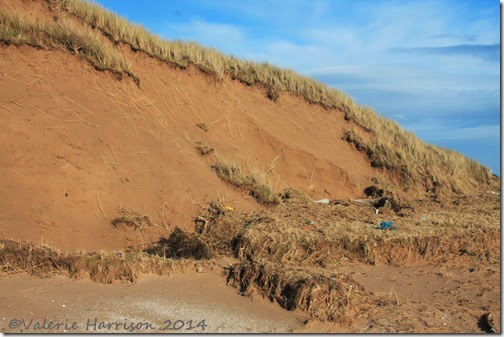 91-damaged-dunes