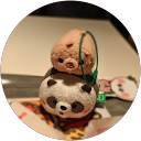 朱逸飞