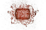 T13C
