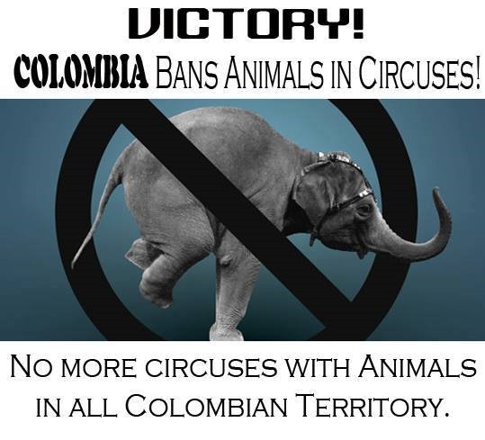 VICTORY!!! COLOMBIA FINALLY BANS ANIMAL CIRCUSES!