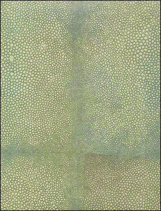 [558a1cdcb0a281b5393c1176f84512081.jpg]