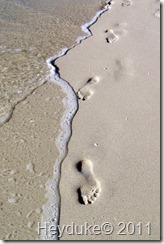 footprints in the saand