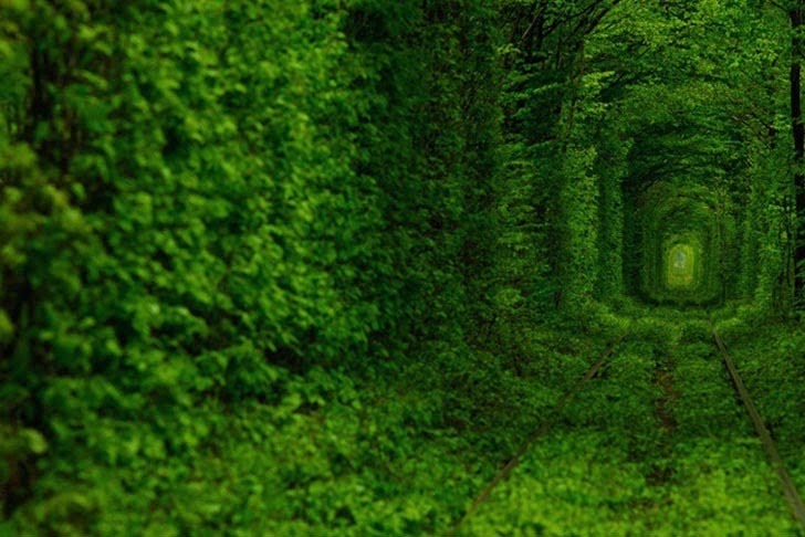 [Secret-Train-Tunnel-of-Love-In-Ukraine-7.jpg]