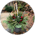 Leader Landscaping