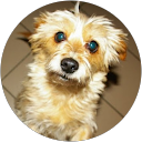 Image Google de madlyn pellieu