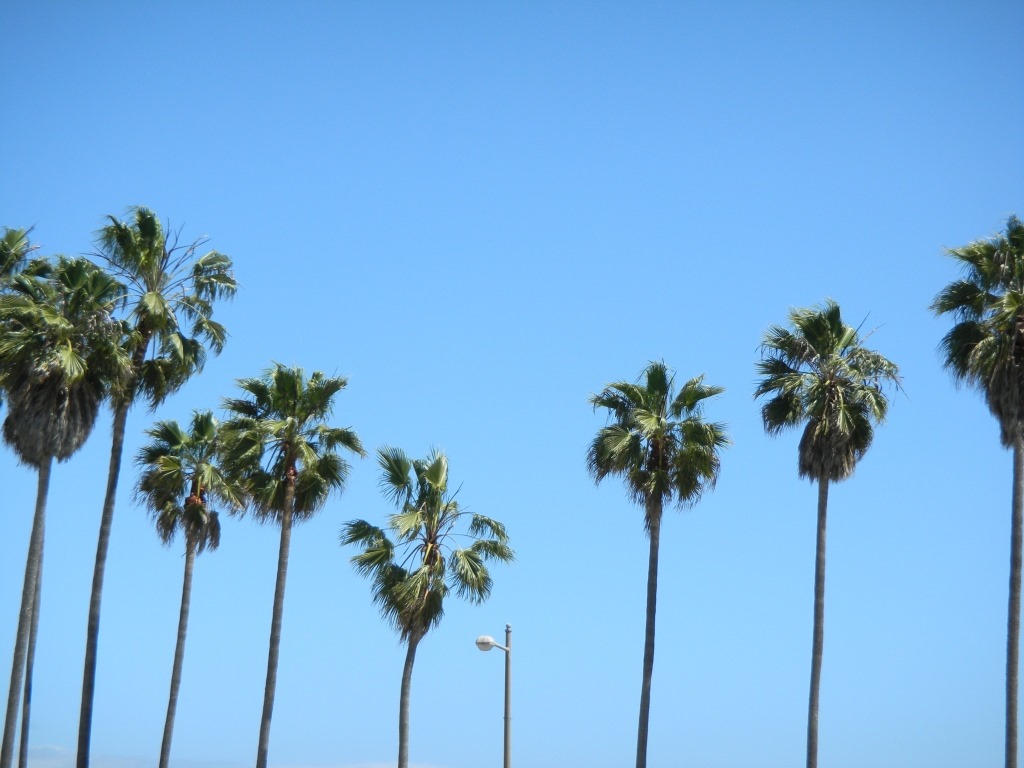 [DSCN3477%2520-%2520Kopie%255B4%255D.jpg]