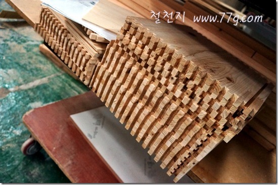 철천지DSC05549-20121226-135654