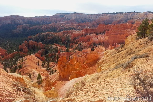 [172BryceCanyon%2520%255B20%255D.jpg]