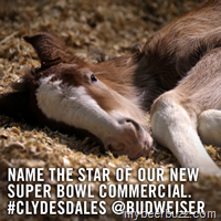 [image%255B2%255D.png]